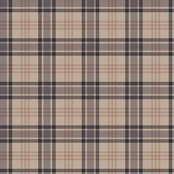 Horseshoe Creek C18476-BEACH Plaid Beach by Riley Blake Designs
