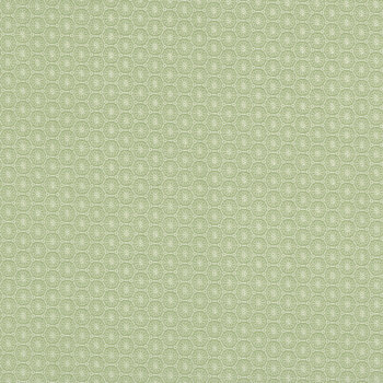 Courtland MAS11327-G Sage Green Lace by Maywood Studio