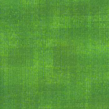 Interwoven 1WVN-14 Green by Jason Yenter for In The Beginning Fabrics