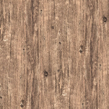 Spurs & Spirit 4525-30 Light Brown Woodgrain by Urban Essence Design for Blank Quilting