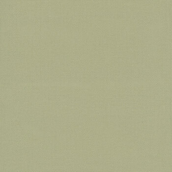 Dusty Green 28 Count Jobelan Cross Stitch Cloth by Wichelt