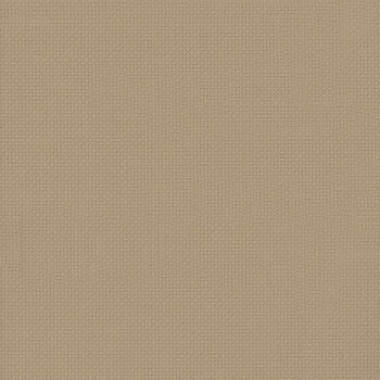 Dirty 14 Count Aida Cross Stitch Cloth by Wichelt