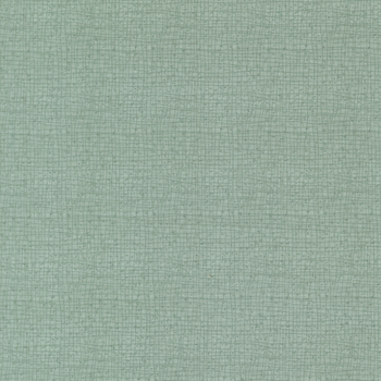 Thatched 48626-220 Stream by Robin Pickens for Moda Fabrics