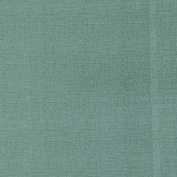Thatched 48626-221 Water by Robin Pickens for Moda Fabrics