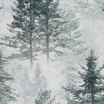 Guardians - Naturescapes DP29329-92 Trees Lt Gray by Deborah Edwards for Northcott Fabrics