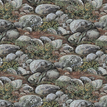 Guardians - Naturescapes DP29330-96 Boulders Dk Gray Multi by Deborah Edwards for Northcott Fabrics