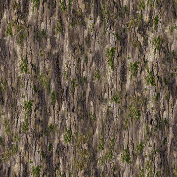 Guardians - Naturescapes DP29334-36 Bark Brown by Deborah Edwards for Northcott Fabrics