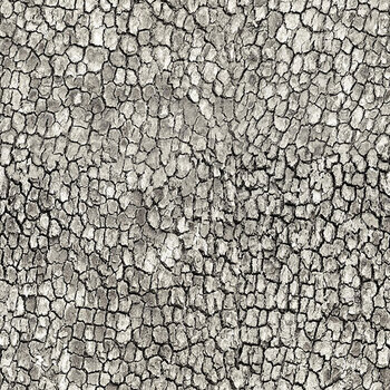 Guardians - Naturescapes DP29335-94 Crackle Gray by Deborah Edwards for Northcott Fabrics