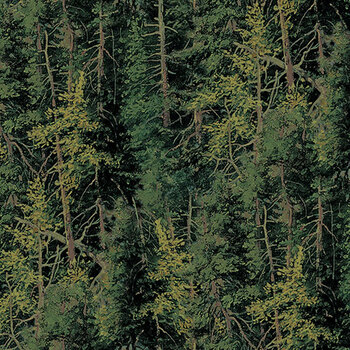 Highland Ridge 29379-78 Evergreen Trees Green by Deborah Edwards and Rosemary Millette for Northcott Fabrics