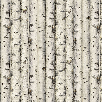 Highland Ridge 29384-12 Birch Beige by Deborah Edwards and Rosemary Millette for Northcott Fabrics