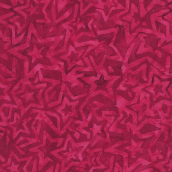 Tonga Patriot's Pride TONGA-B2817 Packed Star Outline Pride by The Combat Quilter for Timeless Treasures Fabrics