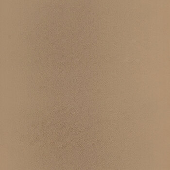 Solid Cuddle 3  Cappuccino by Shannon Fabrics for Moda Fabrics REM