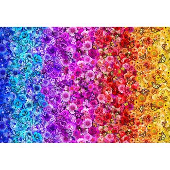 Rainbow Butterflies FLEUR-CD3630 MULTI by Timeless Treasures Fabrics