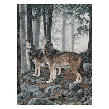 Guardians - Naturescapes DP29325-92 Wolf Panel Lt Gray Multi by Deborah Edwards for Northcott Fabrics