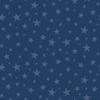 Valor Is Never Forgotten C18884-BLUE by Tara Reed for Riley Blake Designs
