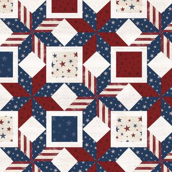 Valor Is Never Forgotten C18885-MULTI by Tara Reed for Riley Blake Designs