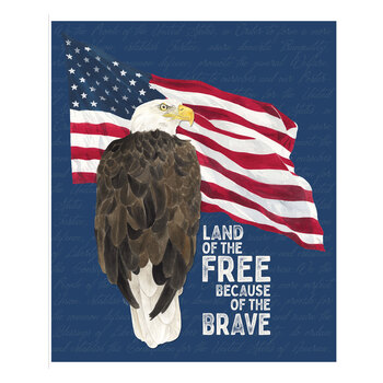 Valor Is Never Forgotten C18886-PANEL Panel by Tara Reed for Riley Blake Designs