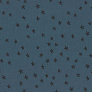 Starry RS4109-45 Smoke by Ruby Star Society for Moda Fabrics