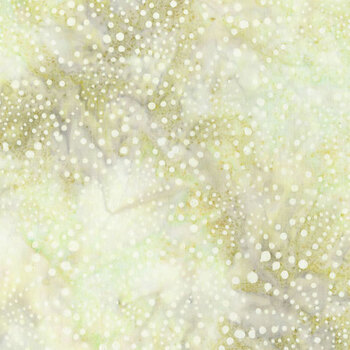 4th & Main Favorites 82004-30 Starburst Oatmeal by Scott Flanagan for Northcott Fabrics