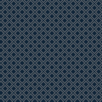 Patriotic Pride C18743-NAVY by Sandy Gervais for Riley Blake Designs