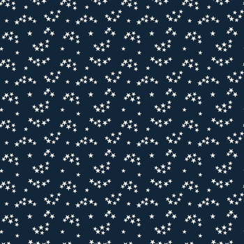 Patriotic Pride C18744-NAVY by Sandy Gervais for Riley Blake Designs