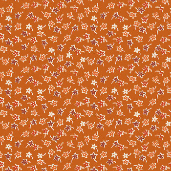 Pumpkin & Licorice C18786-AMBER by Lori Holt for Riley Blake Designs