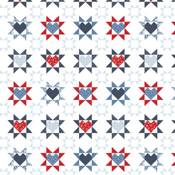 Hooray for the USA C18691-WHITE by Dani Mogstad for Riley Blake Designs