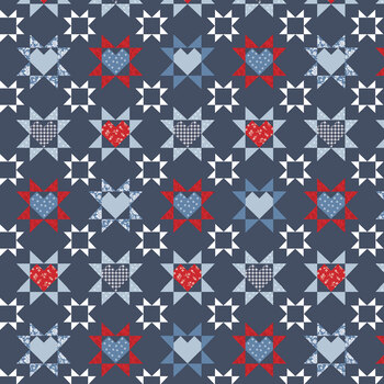 Hooray for the USA C18691-DENIM by Dani Mogstad for Riley Blake Designs