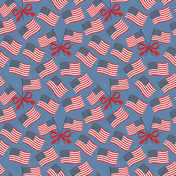 Hooray for the USA C18693-BLUE by Dani Mogstad for Riley Blake Designs