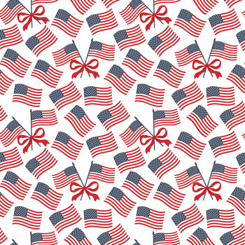 Hooray for the USA C18693-WHITE by Dani Mogstad for Riley Blake Designs