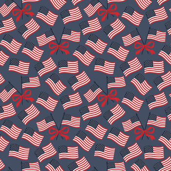 Hooray for the USA C18693-DENIM by Dani Mogstad for Riley Blake Designs