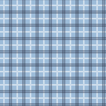 Hooray for the USA C18694-BLUE by Dani Mogstad for Riley Blake Designs
