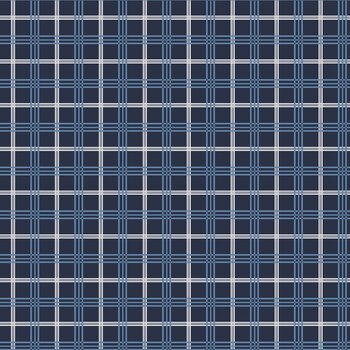 Hooray for the USA C18694-NAVY by Dani Mogstad for Riley Blake Designs