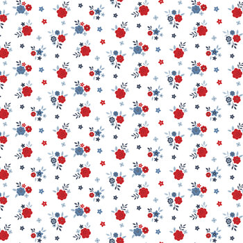 Hooray for the USA C18695-WHITE by Dani Mogstad for Riley Blake Designs