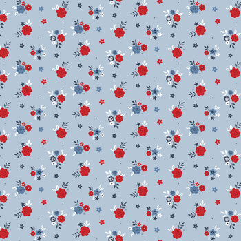 Hooray for the USA C18695-BLUE by Dani Mogstad for Riley Blake Designs