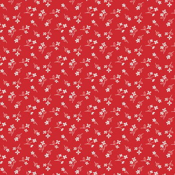 Hooray for the USA C18696-RED by Dani Mogstad for Riley Blake Designs