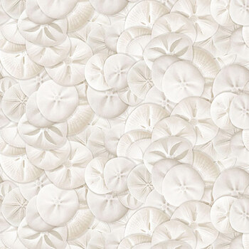 Beach Wonders Y5147-138 Sand Dollars Pale Taupe by Katie Pertiet for Clothworks