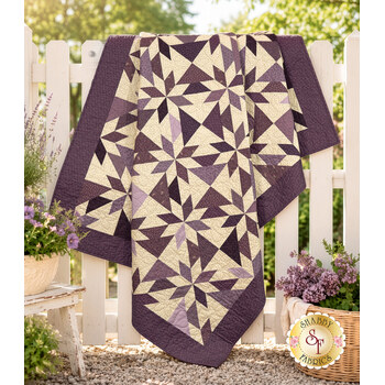  Playing Favorites Quilt Kit - Plumberry Farm
