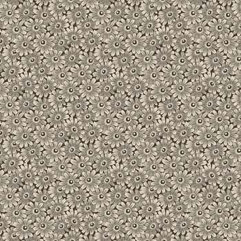 Nottingham MAS11202-K Gray by Maywood Studio