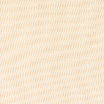Ophelia 33916-12 Stone by Studio M for Moda Fabrics