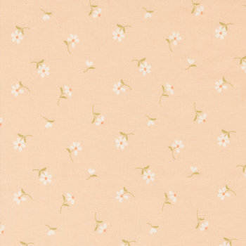 Dear Daisy 31804-17 Apricot by My Sew Quilty Life for Moda Fabrics