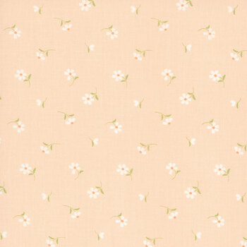 Dear Daisy 31804-17 Apricot by My Sew Quilty Life for Moda Fabrics