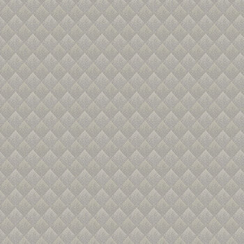 Nocturne A-10758-C Haunting Fog by Andover Fabrics