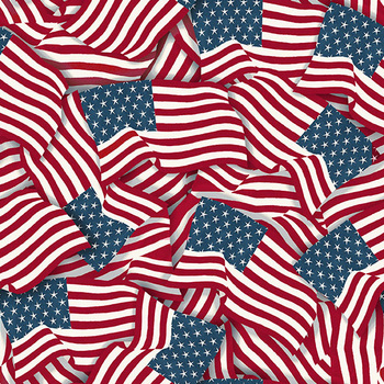 Freedom and Glory 30118-234 Packed Flags Multi by Beth Grove for Wilmington Prints