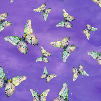 Ambrosia BUG-CD4624 Spaced Out Butterflies Purple by Timeless Treasures Fabrics