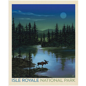 National Parks Wilderness & Wonder PD17706-PANEL Royale Poster Panel by Anderson Design Group for Riley Blake Designs