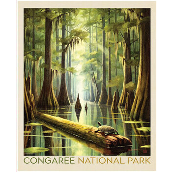 National Parks Wilderness & Wonder PD17702-PANEL Congaree Poster Panel by Anderson Design Group for Riley Blake Designs