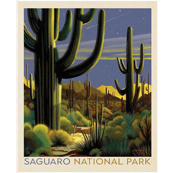 National Parks Wilderness & Wonder PD17708-PANEL Saguaro Poster Panel by Anderson Design Group for Riley Blake Designs
