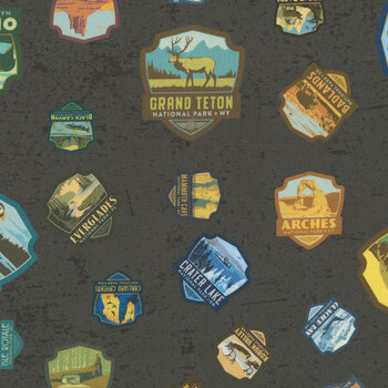 National Parks Wilderness & Wonder C8782-BLACK Patches by Anderson Design Group for Riley Blake Designs