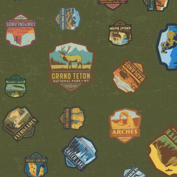 National Parks Wilderness & Wonder C8782-GREEN Patches by Anderson Design Group for Riley Blake Designs